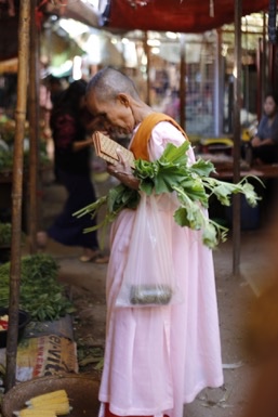 (Writing sprout) A short commentary on ‘Family Matters in Indian Buddhist Monasticism’